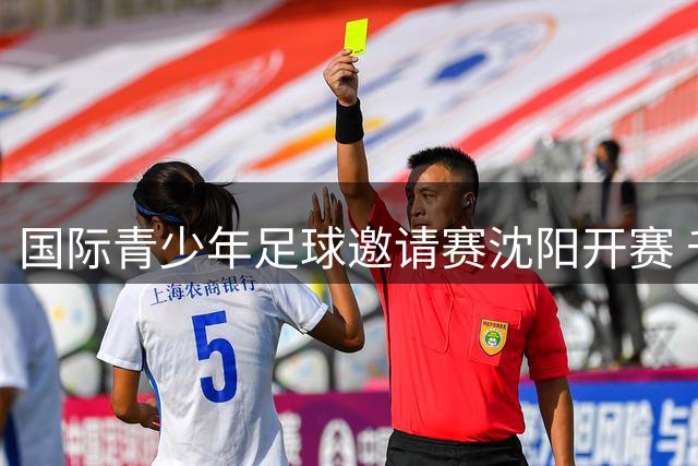 国际青少年足球邀请赛沈阳开赛 千余场赛事即将上演