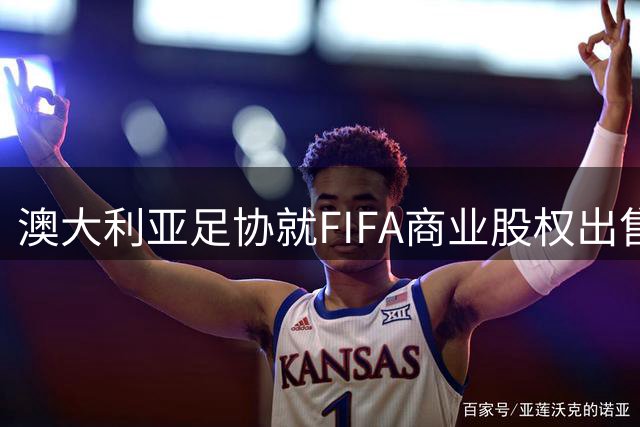 澳大利亚足协就FIFA商业股权出售计划寻求细节澄清